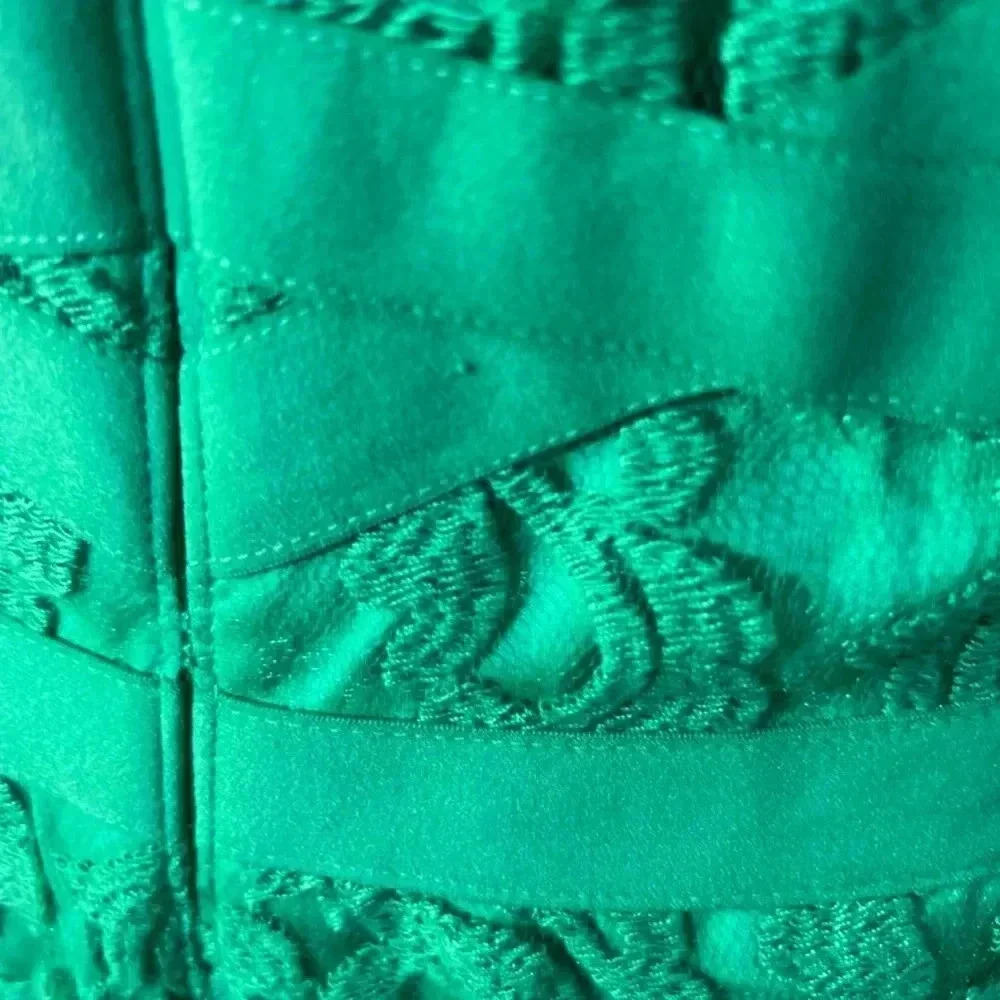 Tadashi Shoji Embroidered Lace V Neck Dress Cocktail Dress Size 8 - Picture 9 of 9